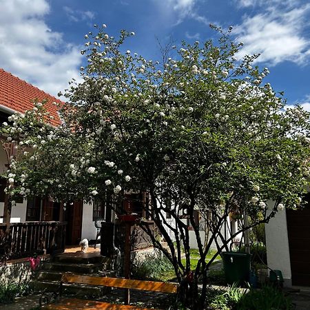 Magnolia Garden Apartamento Miskolc Exterior foto