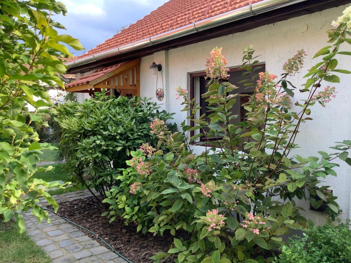 Magnolia Garden Apartamento Miskolc Exterior foto