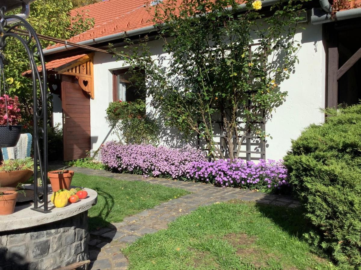 Magnolia Garden Apartamento Miskolc Exterior foto