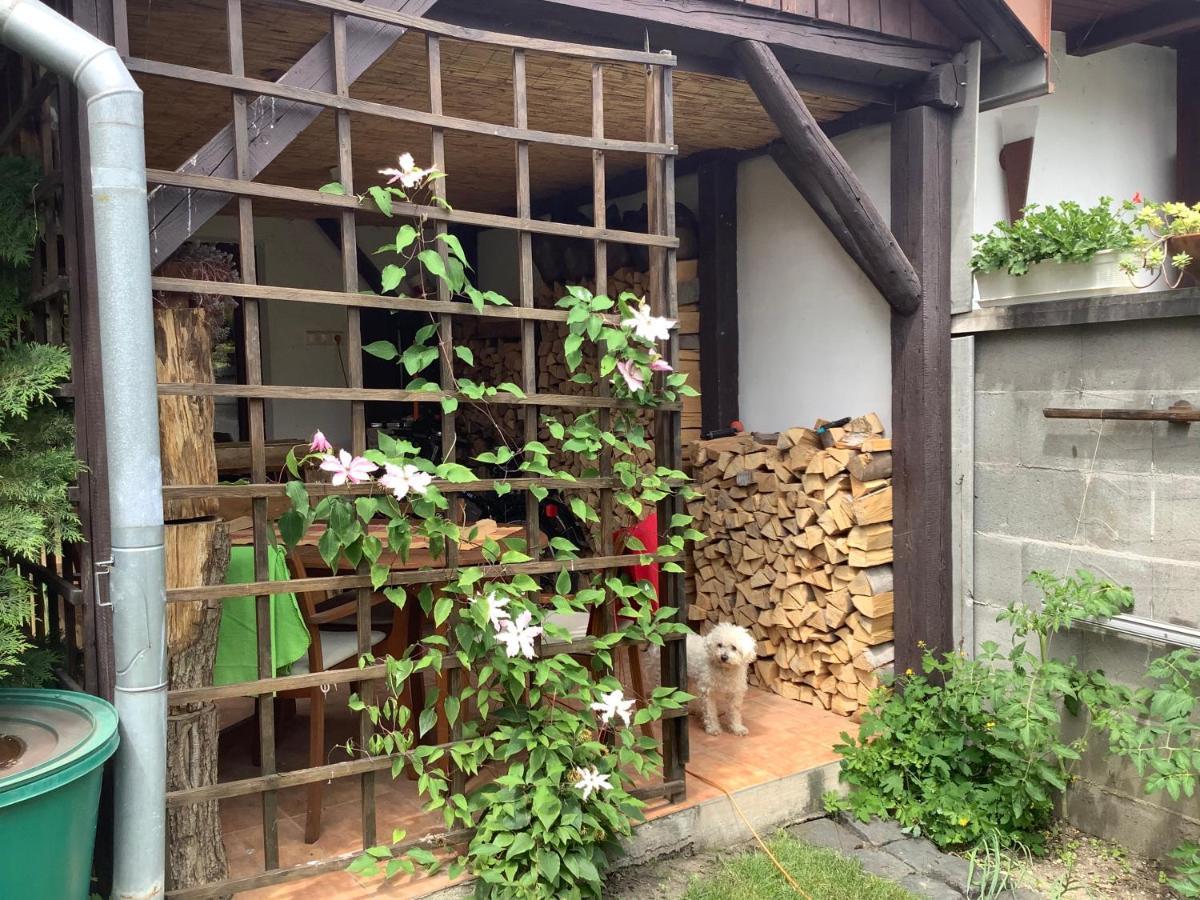 Magnolia Garden Apartamento Miskolc Exterior foto