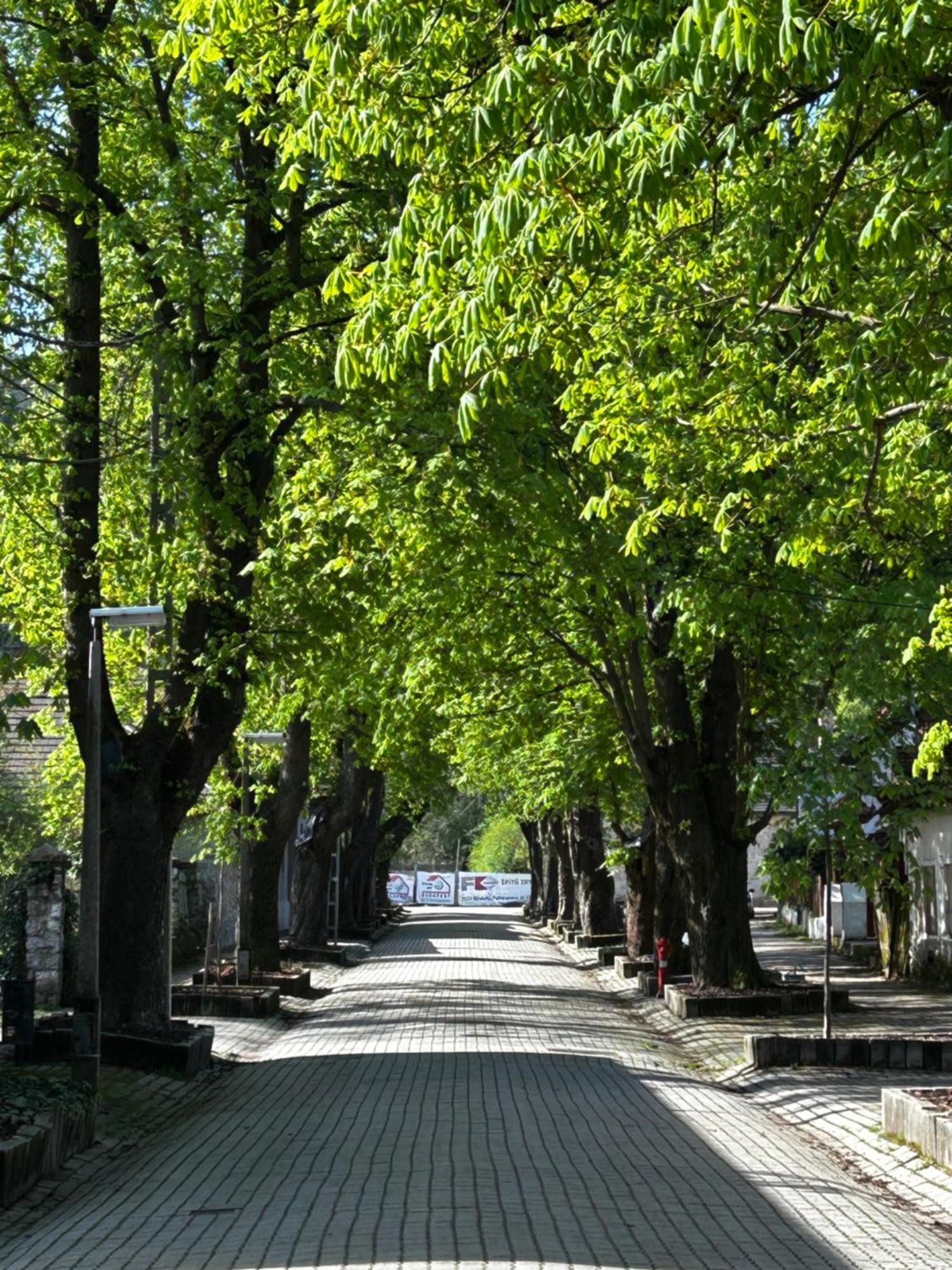 Magnolia Garden Apartamento Miskolc Exterior foto